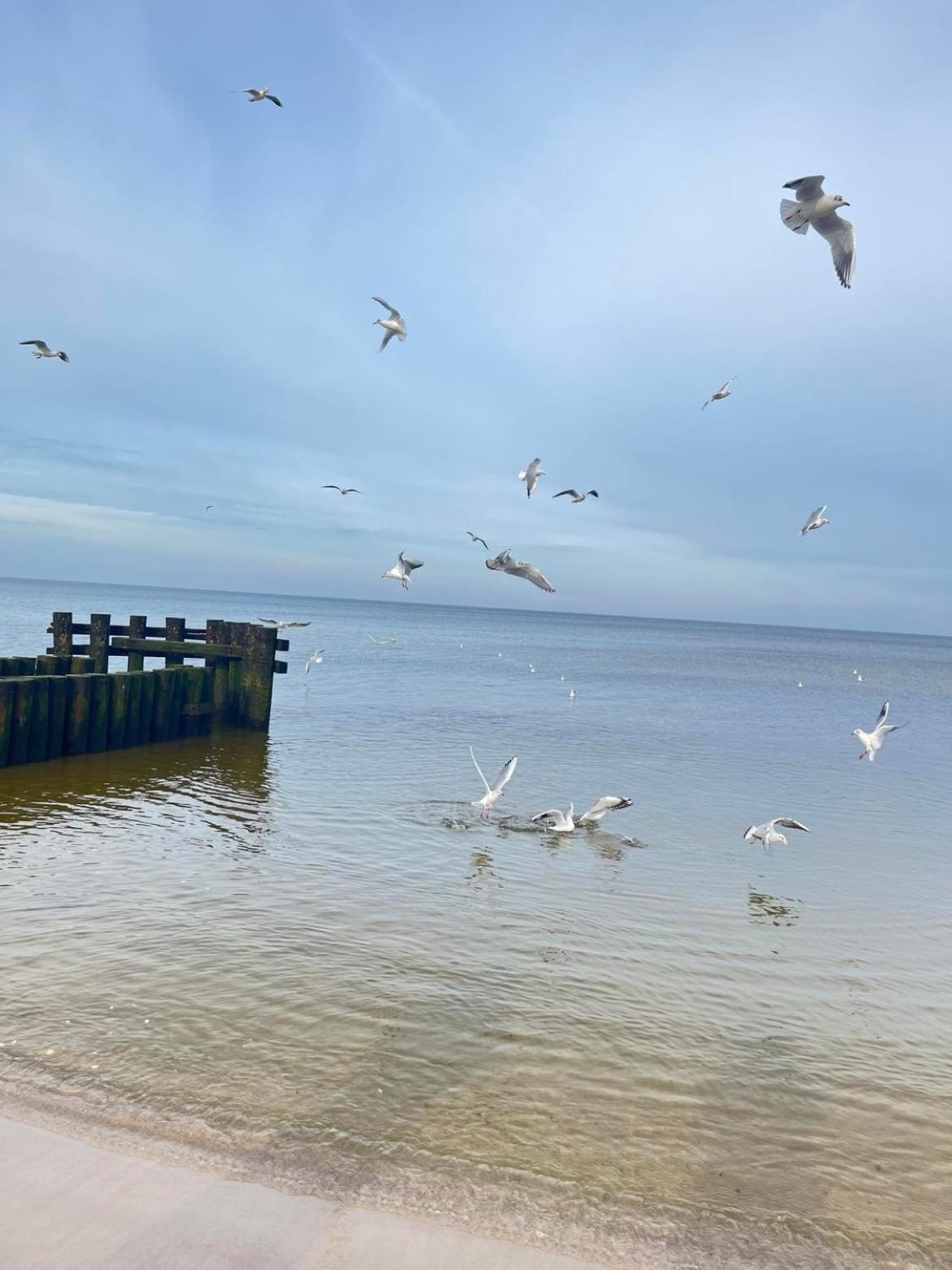 Apartament Polanki Z Basenem Blisko Plazy Lägenhet Kołobrzeg Exteriör bild